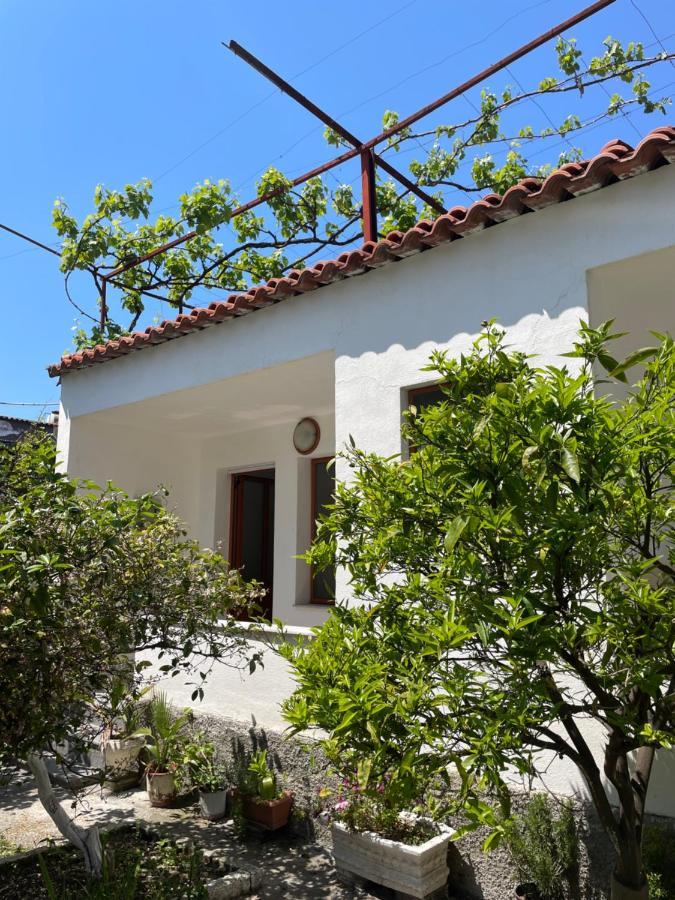 Hotel Vila Cano Durrës Exterior foto